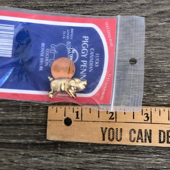 Vtg Lucky Canadian Piggy Penny Charm - Picture 5 of 9